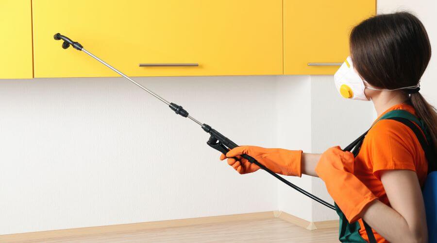 Why choose Sarasota Pest Control Pros for german roach extermination sarasota fl in Sarasota